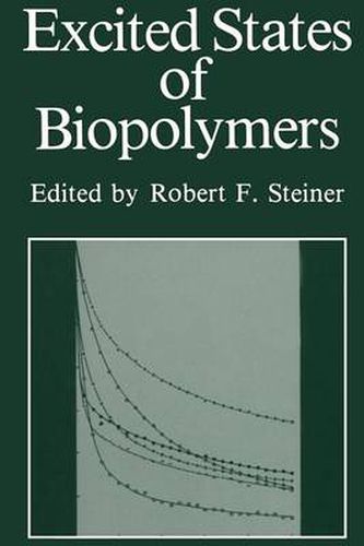 Cover image for Excited States of Biopolymers