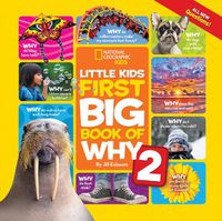 Cover image for Little Kids First Big Book of Why 2
