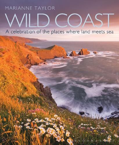 Cover image for Wild Coast: An exploration of the places where land meets sea