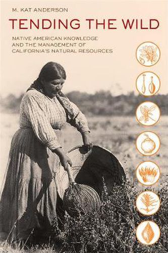 Cover image for Tending the Wild: Native American Knowledge and the Management of California's Natural Resources