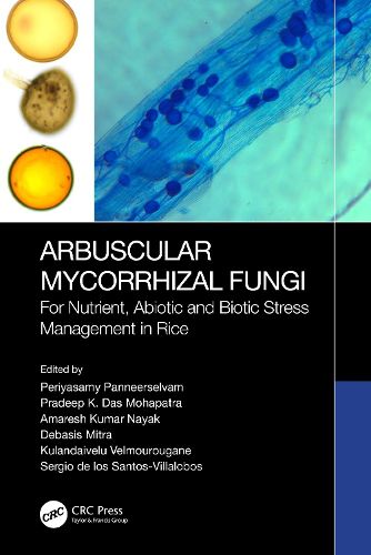 Cover image for Arbuscular Mycorrhizal Fungi