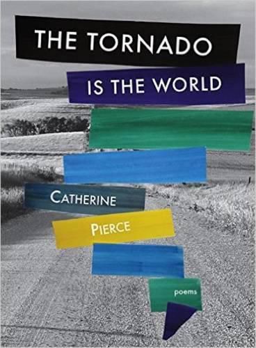 Cover image for The Tornado Is the World