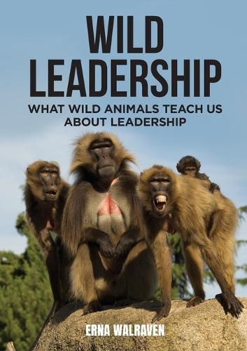 Wild Leadership: What wild animals teach us about leadership