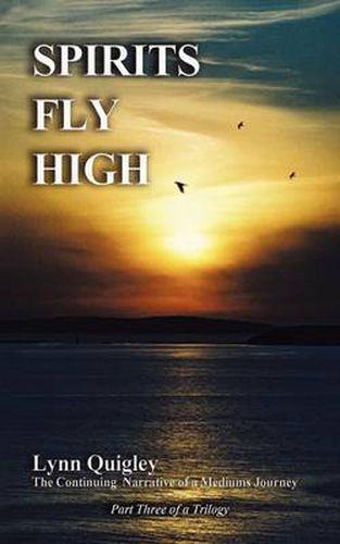 Cover image for Spirits Fly High