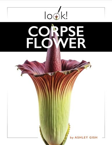 Cover image for Corpse Flower