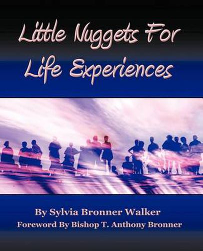 Cover image for Little Nuggets For Life's Experiences