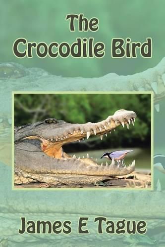 Cover image for The Crocodile Bird