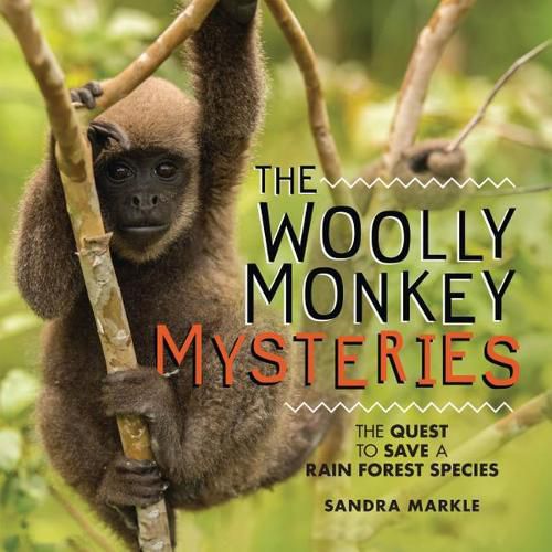 Cover image for The Woolly Monkey Mysteries: The Quest to Save a Rain Forest Species