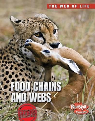 Food Chains and Webs (the Web of Life)