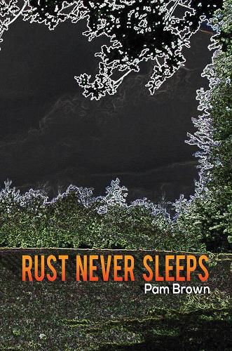 Rust Never Sleeps