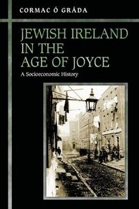 Cover image for Jewish Ireland in the Age of Joyce: A Socioeconomic History