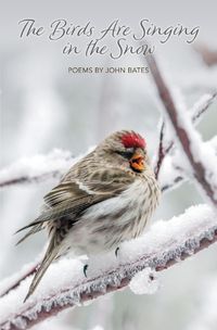 Cover image for The Birds Are Singing In The Snow