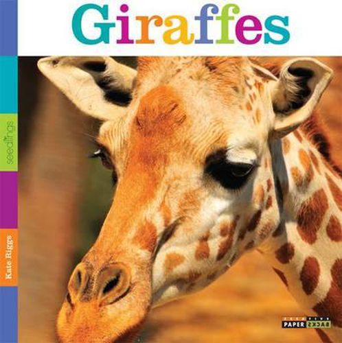 Cover image for Seedlings: Giraffes