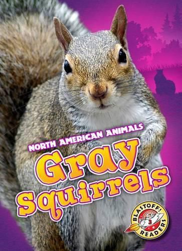 Cover image for Gray Squirrels