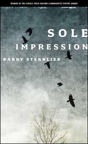 Cover image for Sole Impression