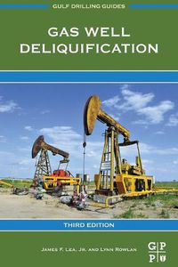 Cover image for Gas Well Deliquification