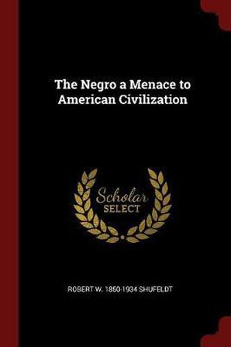 The Negro a Menace to American Civilization