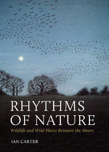 Rhythms of Nature: Wildlife and Wild Places Between the Moors