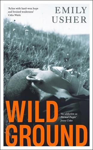 Cover image for Wild Ground