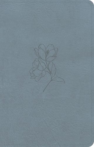 Cover image for CSB Personal Size Bible, Digital Study Edition, Blue Leathertouch