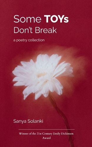 Cover image for Some TOYs Don't Break