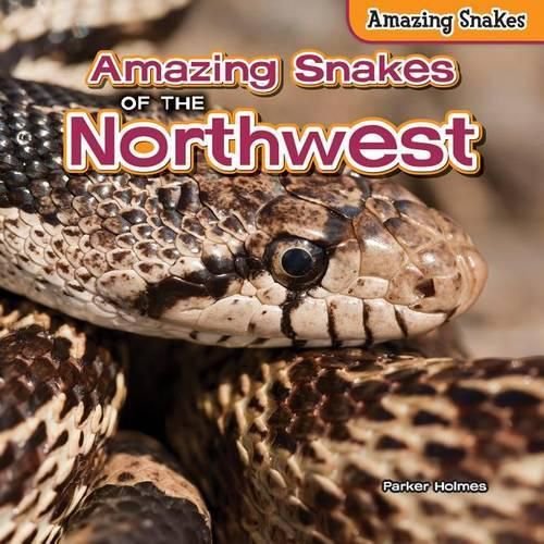 Amazing Snakes of the Northwest