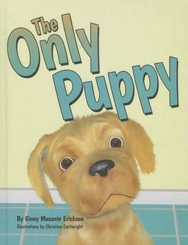 Cover image for The Only Puppy