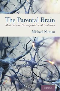 Cover image for The Parental Brain: Mechanisms, Development, and Evolution