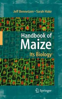 Cover image for Handbook of Maize: Its Biology