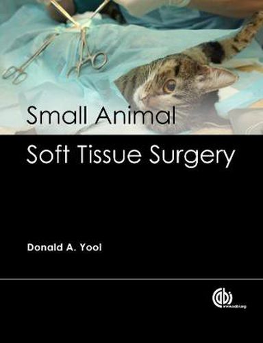 Cover image for Small Animal Soft Tissue Surgery