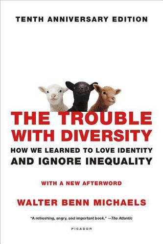 Cover image for The Trouble with Diversity: How We Learned to Love Identity and Ignore Inequality