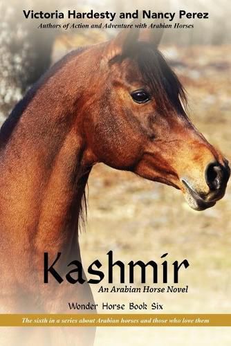 Cover image for Kashmir