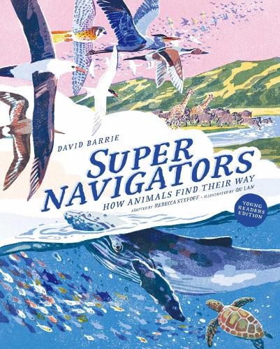 Cover image for Supernavigators