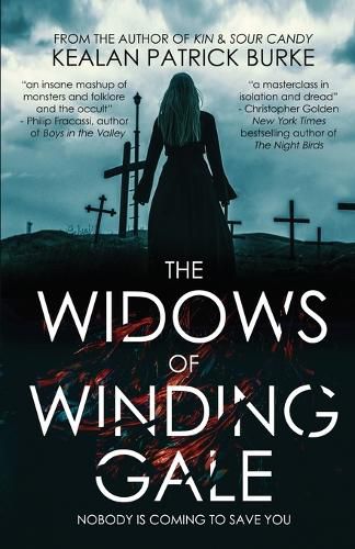 Cover image for The Widows of Winding Gale