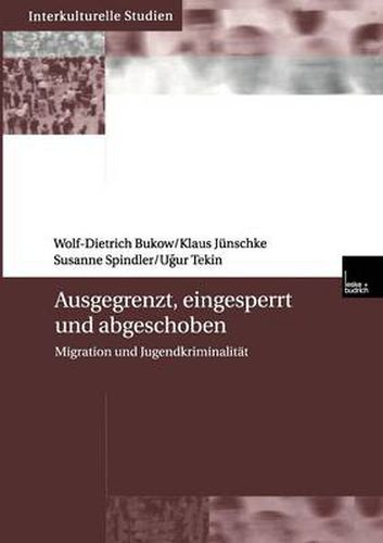 Cover image for Ausgegrenzt, Eingesperrt Und Abgeschoben: Migration Und Jugendkriminalitat