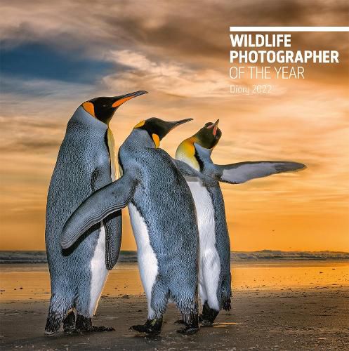 Cover image for Wildlife Photographer of the Year Desk Diary 2022