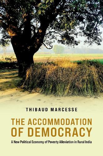 Cover image for The Accommodation of Democracy