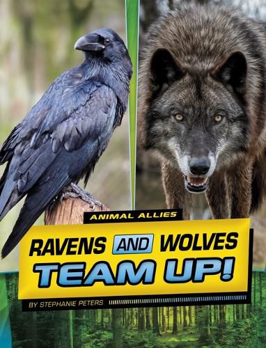 Ravens and Wolves Team Up!