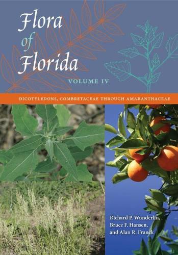 Flora of Florida, Volume IV: Dicotyledons, Combretaceae through Amaranthaceae