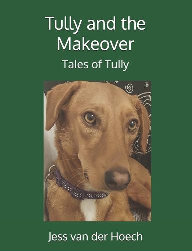 Cover image for Tully and the Makeover