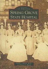 Cover image for Spring Grove State Hospital