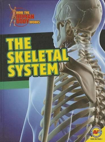 Cover image for Skeletal System