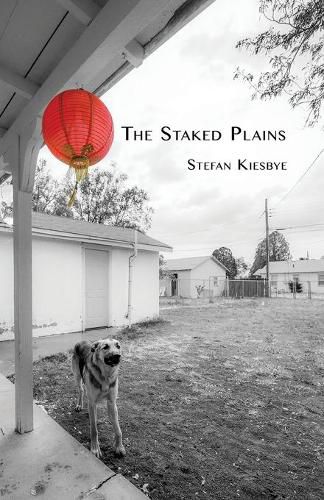 Cover image for The Staked Plains