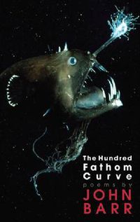 Cover image for The Hundred Fathom Curve