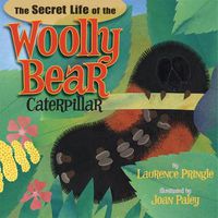 Cover image for The Secret Life of the Woolly Bear Caterpillar
