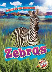 Cover image for Zebras