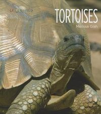 Cover image for Tortoises