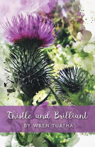 Cover image for Thistle and Brilliant