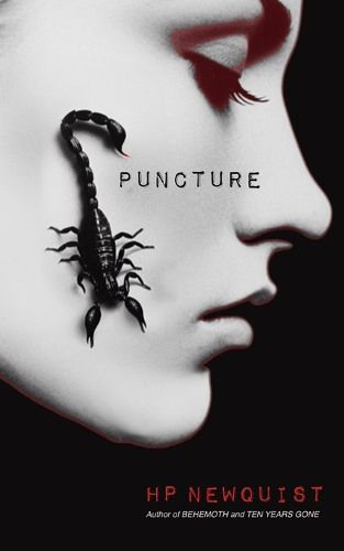 Cover image for Puncture