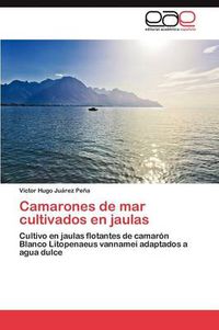 Cover image for Camarones de Mar Cultivados En Jaulas